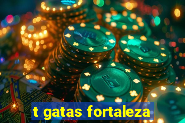 t gatas fortaleza